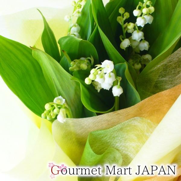 母の日ギフト 2025 鈴蘭 すずらん 鉢植え ラッピング【5月9日〜5 母の日ギフト 2025 鈴蘭 すずらん 鉢植え ラッピング【5月9日〜5