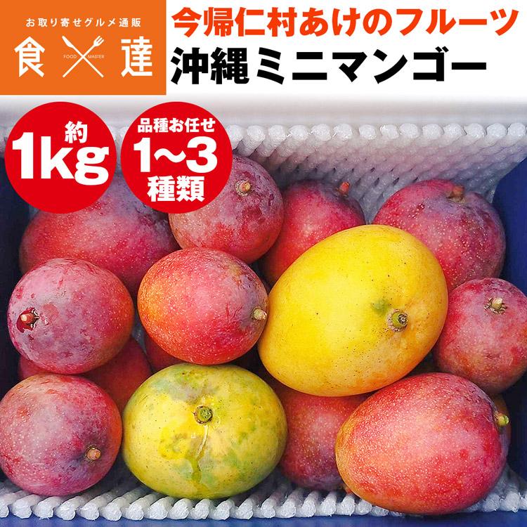 ミニマンゴー 1kg 沖縄県産 1〜3種程度 ご家庭用 マンゴー