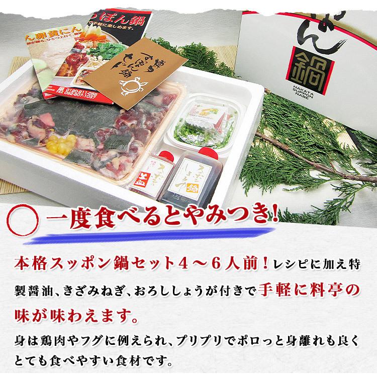 すっぽん スッポン 鍋 ナベ なべ 博多すっぽん鍋セット ギフト スッポン鍋 冷凍便 ギフト 食の達人 お取り寄せグルメ 通販 Paypayモール