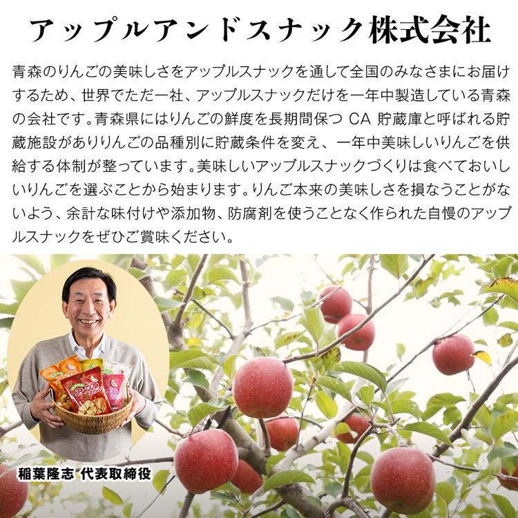 りんごチップス アップルスナック 3種 5袋 化粧箱 二重梱包 青森県産