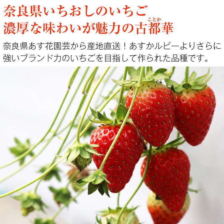 古都華 いちご 500g以上 (250g×2パック) 奈良いちご ことか 奈良県産 明日香村 産地直送 イチゴ 苺 産直 冷蔵便 同梱不可 指定日不可｜shokutatsu｜03