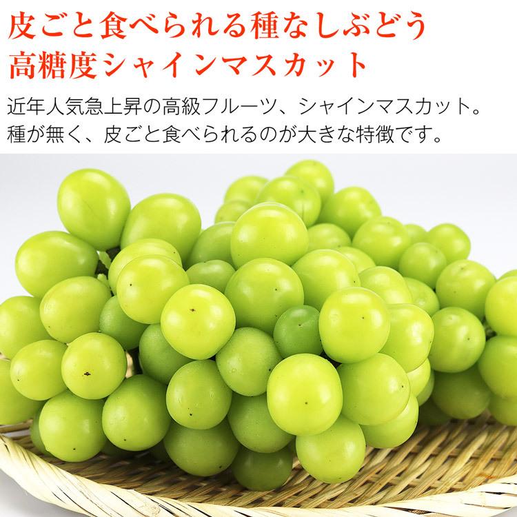 シャインマスカット ニューピオーネ ぶどう 2種 セット 岡山県産 秀品 2房 約1kg 食べ比べ 詰め合わせ 産直 冷蔵便 同梱不可 指定日不可_2