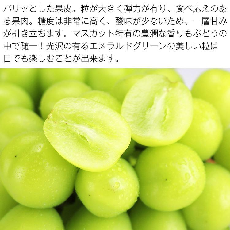 シャインマスカット ニューピオーネ ぶどう 2種 セット 岡山県産 秀品 2房 約1kg 食べ比べ 詰め合わせ 産直 冷蔵便 同梱不可 指定日不可_3