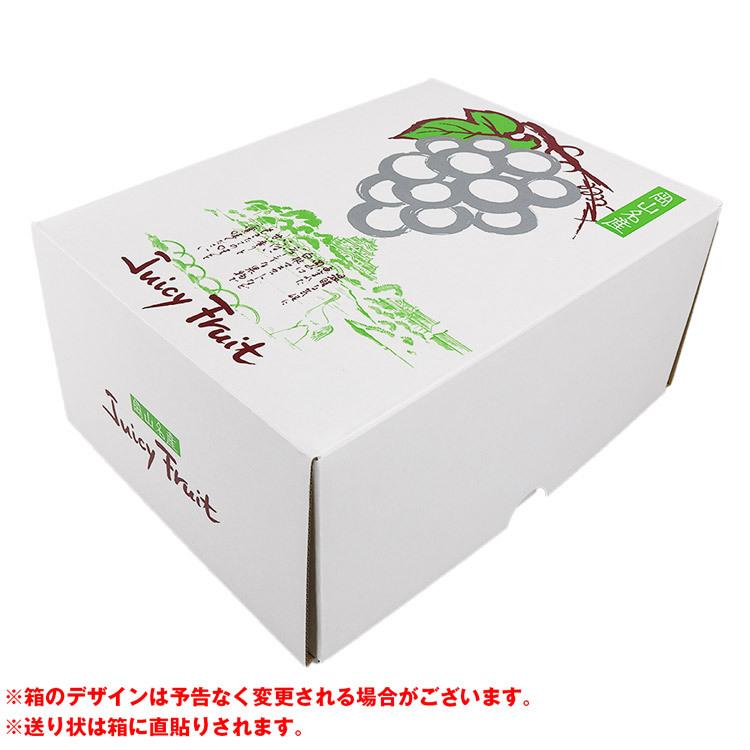 シャインマスカット ニューピオーネ ぶどう 2種 セット 岡山県産 秀品 2房 約1kg 食べ比べ 詰め合わせ 産直 冷蔵便 同梱不可 指定日不可_8