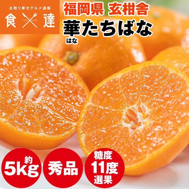 みかん 5kg 糖度11度選果 秀品 福岡県産 華たちばな 蜜柑 ミカン 産直