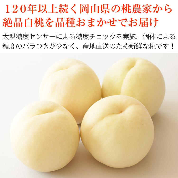 白桃 1.3kg 岡山県産 産地直送 白い桃 4〜6玉 糖度センサー 贈答用 ギフト 加納岩白桃 白鳳 清水白桃 白麗 もも モモ 常温便 同梱不可 指定日不可 産直｜shokutatsu｜03