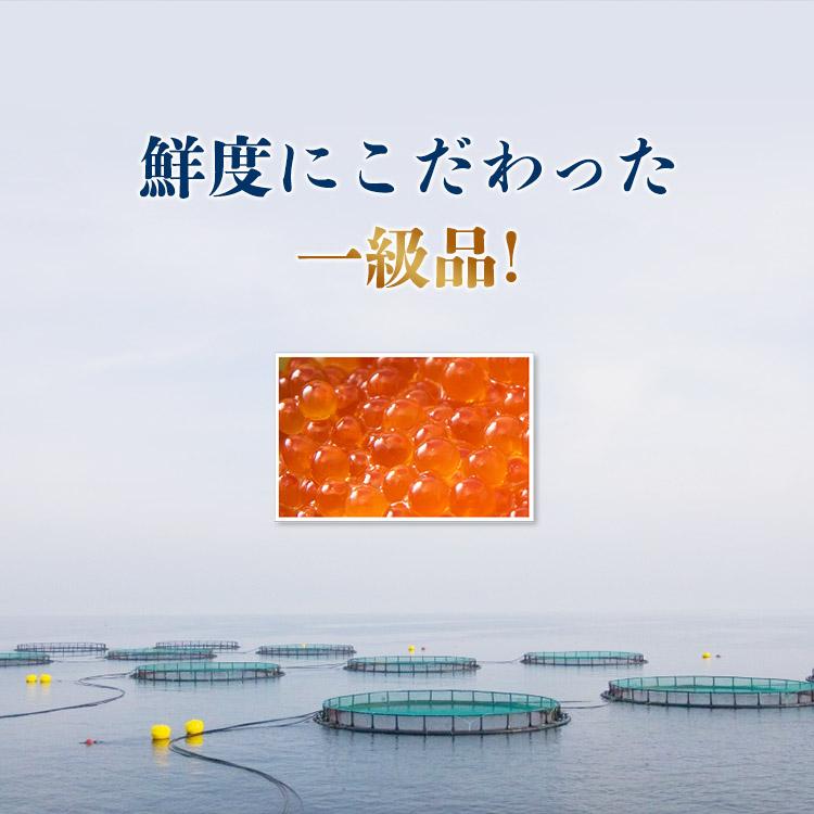 いくら 醤油漬け 250g×3パック 計750g 粒は小さいけど味は抜群！ サーモン トラウト 丼 軍艦 手巻き寿司 ちらし寿司の画像