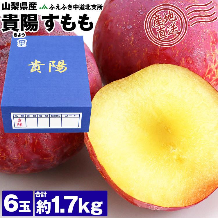 格安 価格でご提供いたします すもも 貴陽 6玉 1 7kg 大玉 高級 スモモ プラム 贈答 ギフト 産地直送 ふえふき 山梨県産 ギネス 産直 常温便 同梱不可 指定日不可