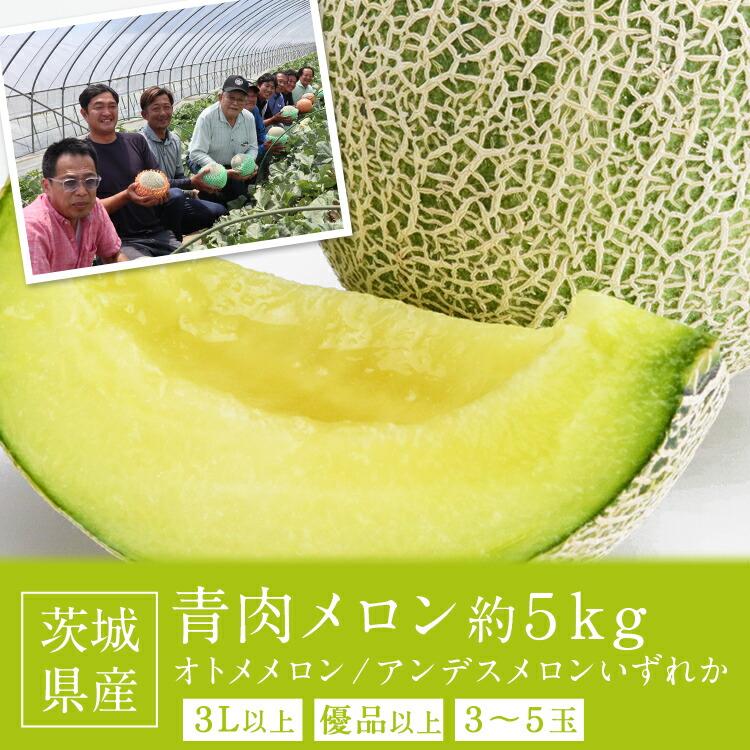 メロン 茨城県産 5kg (3〜5玉入) アンデスメロン オトメメロン メロン 茨城県産 5kg (3〜5玉入) アンデスメロン オトメメロン