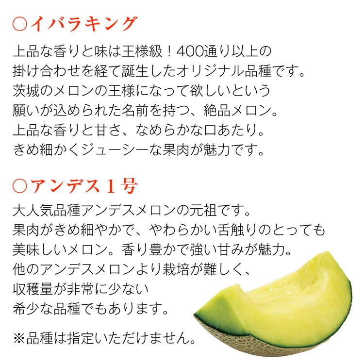 メロン 希少品種 ブランド 茨城県産 3〜5玉 5kg 優以上 産地直送 愛ちゃんメロン イバラキング アンデス1号 青肉メロン 産直 常温便 同梱不可 指定日不可｜shokutatsu｜04