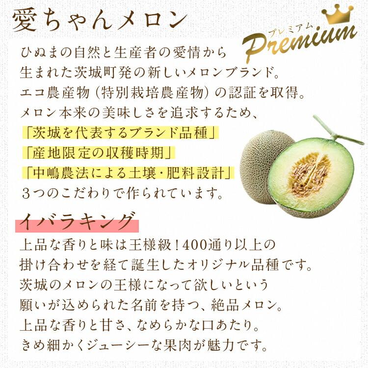 イバラキング メロン 5kg 愛ちゃんメロン 茨城県産 秀品 3L以上 イバラキング メロン 5kg 愛ちゃんメロン 茨城県産 秀品 3L以上