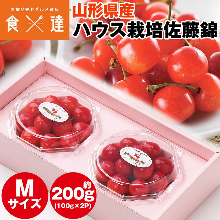 さくらんぼ 200g (100g×2パック) 佐藤錦 山形県産 Mサイズ サクランボ