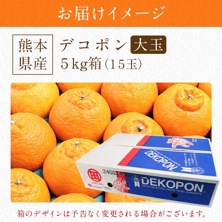 デコポン 熊本県産 大玉 15玉 5kg箱満杯詰め 糖度13度選果設定 デコポン 熊本県産 大玉 15玉 5kg箱満杯詰め 糖度13度選果設定