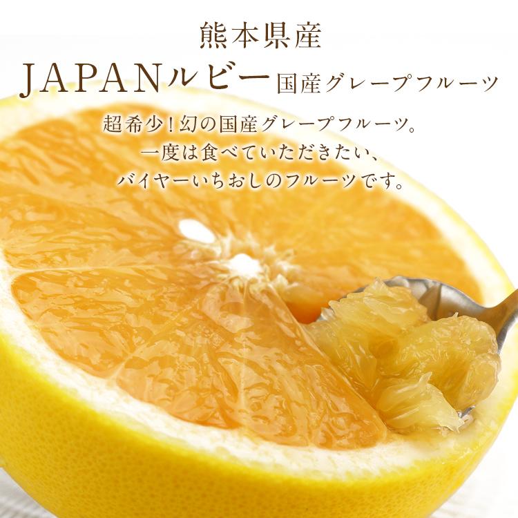 グレープフルーツ 国産 超希少 JAPANルビー 約3kg 秀品 贈答用 ギフト 