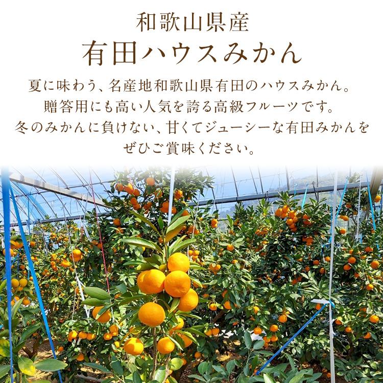 有田みかん 約2kg ハウスみかん AQ 秀 M/Lサイズおまかせ 20〜24玉程度