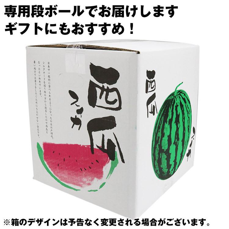 すいか 黒すいか ブラックジャック 秀 Lサイズ以上 1玉 5.5kg以上 熊本県産 スイカ 西瓜 常温便 同梱不可 指定日不可｜shokutatsu｜04