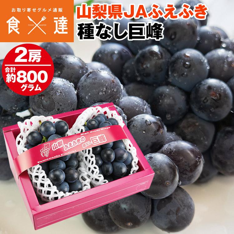 1944円 肌触りがいい 巨峰 種なし Jaふえふき 2房 約800g 約400g 2 ぶどう 山梨県産 ブドウ 葡萄 冷蔵便 同梱不可 指定日不可