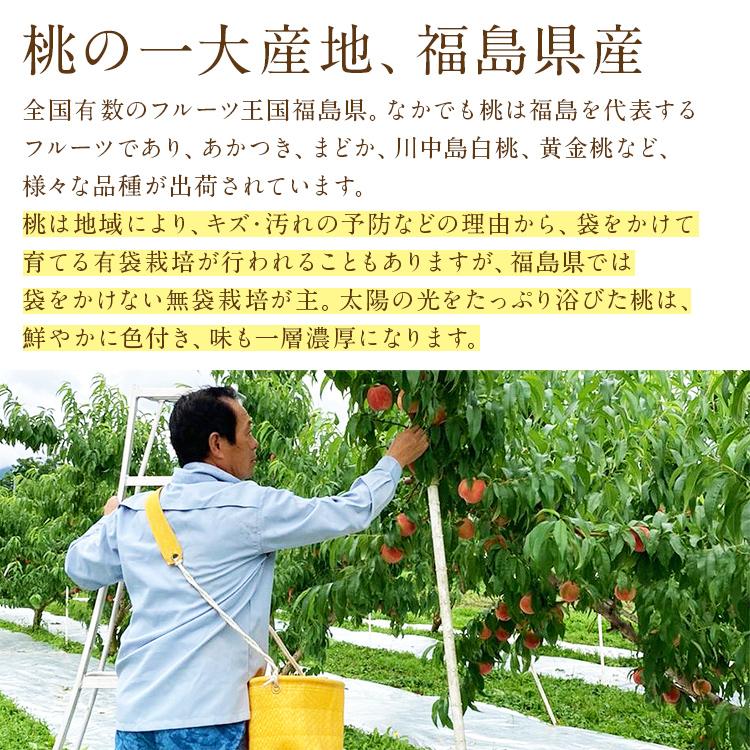 桃 福島県産 ミスピーチ 品種厳選 2箱 約2.8kg 10〜14玉 (1箱 約1.4kg