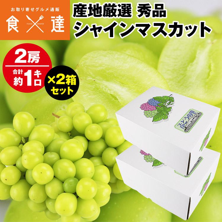 シャインマスカット 2箱 4房 2kg (1箱あたり 2房 1kg 秀品）ぶどう