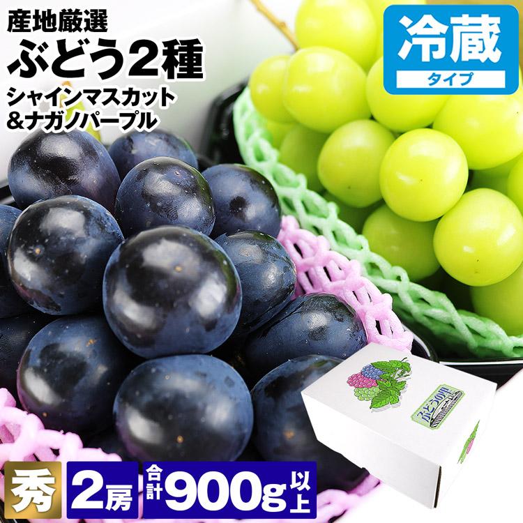 売れ筋ランキングも掲載中！ ぶどう ギフト 2種詰め合わせ 2房(1房×2種) 900g以上 シャインマスカット ナガノパープル 種無し 秀 産地厳選  贈答用 露地栽培 冷蔵便 同梱不可 指定日不可