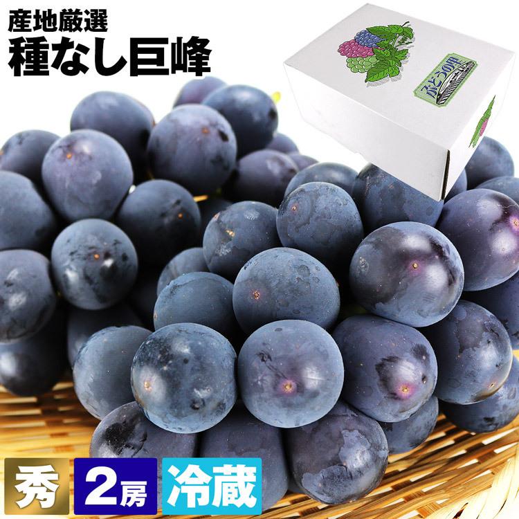 巨峰 種なし巨峰 2房 秀 産地厳選 贈答用 冷蔵便 合計約800g 同梱不可 指定日不可 ぶどう ブドウ 葡萄 露地栽培 種無し 食の達人 お取り寄せグルメ 通販 Paypayモール