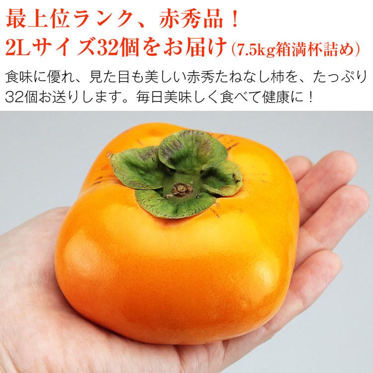 たねなし柿 和歌山県産 赤秀 32個 2Lサイズ 7.5kg箱満杯詰め 柿 カキ 種無し フルーツ 果物 旬 常温便 同梱不可 指定日不可 :kdm-160:食の達人 お取り寄せグルメ - 通販 - Yahoo!ショッピング たねなし柿 和歌山県産 赤秀 32個 2Lサイズ 7.5kg箱満杯詰め 柿 カキ 種無し フルーツ 果物 旬 常温便 同梱不可 指定日不可 :kdm-160:食の達人 お取り寄せグルメ - 通販 - Yahoo!ショッピング