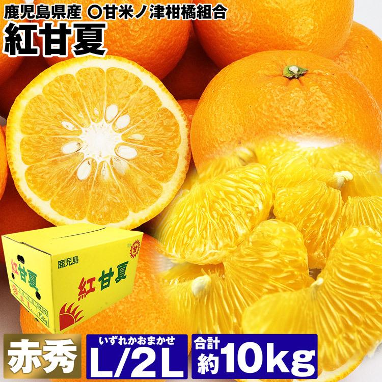 紅甘夏 夏みかん 鹿児島県産 10kg 赤秀 23〜29玉程度 L/2L 紅甘夏 夏みかん 鹿児島県産 10kg 赤秀 23〜29玉程度 L/2L