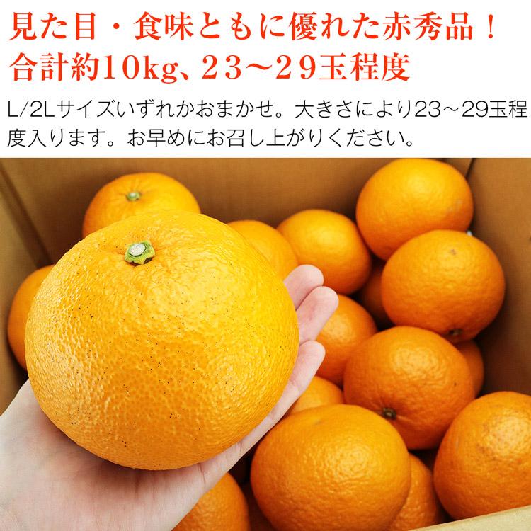 紅甘夏 夏みかん 鹿児島県産 10kg 赤秀 23〜29玉程度 L/2L 紅甘夏 夏みかん 鹿児島県産 10kg 赤秀 23〜29玉程度 L/2L