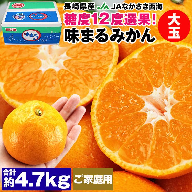 味まるみかん 大玉 糖度12度 4.7kg 長崎県産 ご家庭用 2Lサイズ JA