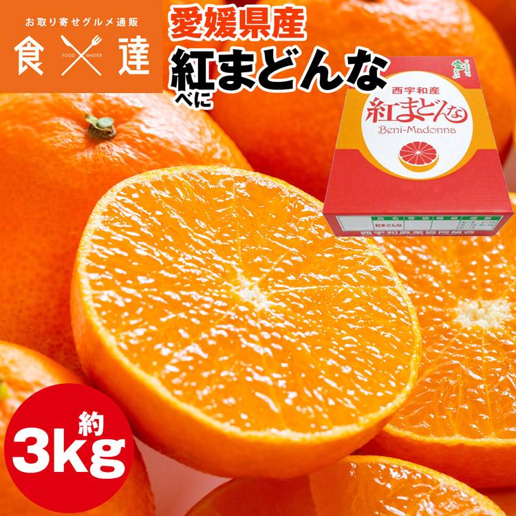5.【贈答用】「紅まどんな」化粧箱約3Kg 紅まどんな 3kg 化粧箱 愛媛県産 西宇和 べにまどんな みかん ギフト