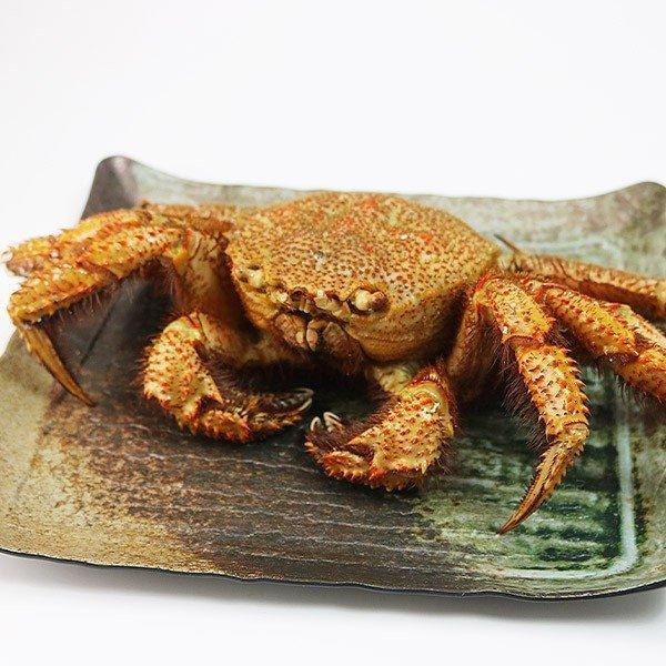 ロシア産 毛ガニ 特大1尾約900g〜1.1kg 毛蟹 毛がに ケガニ 蟹 カニ かに ギフト :kkani-008:食の達人 お取り寄せグルメ - 通販 - Yahoo!ショッピング ロシア産 毛ガニ 特大1尾約900g〜1.1kg 毛蟹 毛がに ケガニ 蟹 カニ かに ギフト :kkani-008:食の達人 お取り寄せグルメ - 通販 - Yahoo!ショッピング