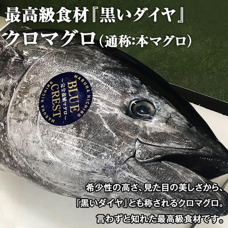 本まぐろ 産地直送 完全養殖 赤身 中トロ 3サク約500g セット クロマグロ 本マグロ 鮪 まぐろ 完全養殖 マルハニチロ Blue Crest 産 食の達人 お取り寄せグルメ 通販 Paypayモール