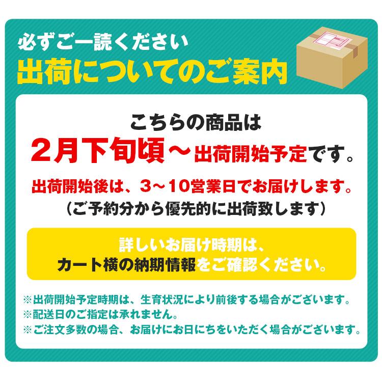 麗紅 れいこう 3kg 広島県産 瀬戸田 みかん 産直 同梱不可 指定日不可