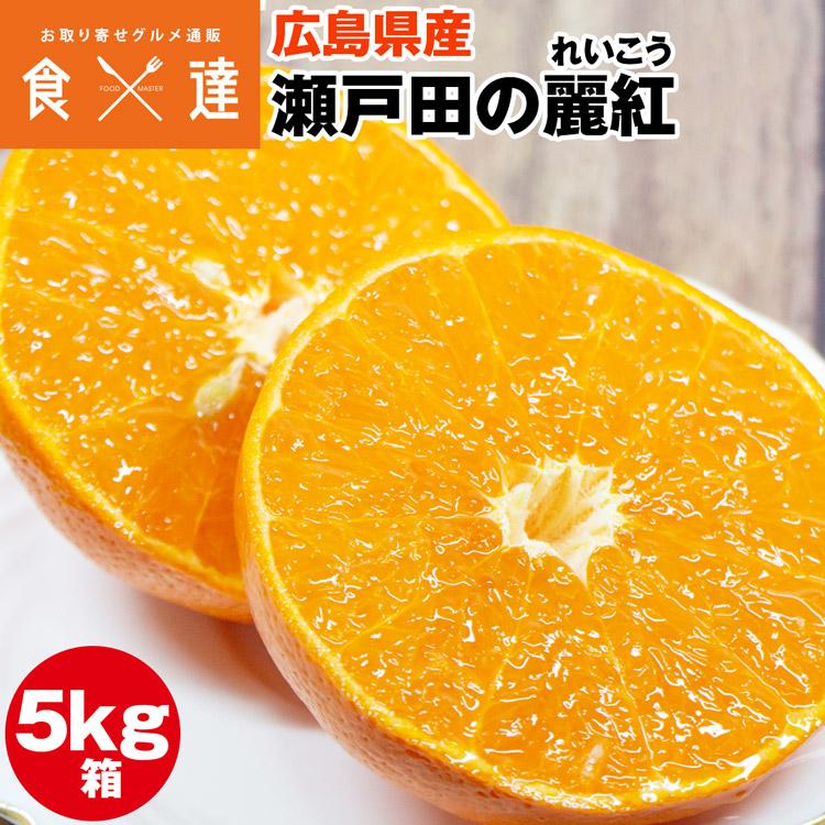 麗紅 れいこう 5kg 広島県産 瀬戸田 みかん 産直 同梱不可 指定日不可