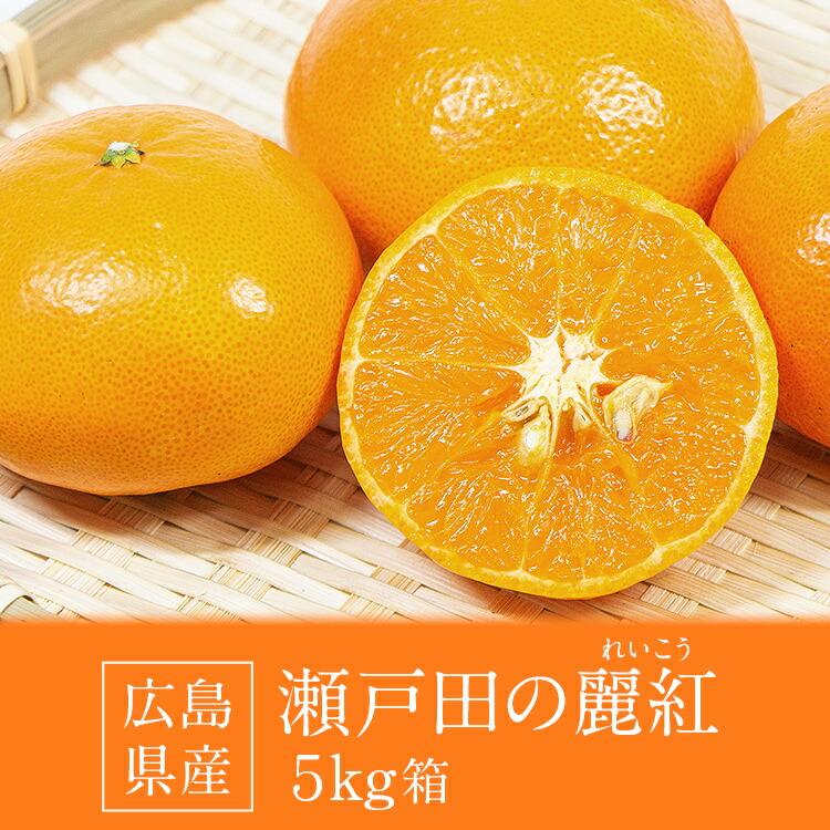 麗紅 れいこう 5kg 広島県産 瀬戸田 みかん 産直 同梱不可 指定日不可