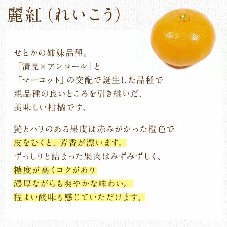 麗紅 れいこう 5kg 広島県産 瀬戸田 みかん 産直 同梱不可 指定日不可