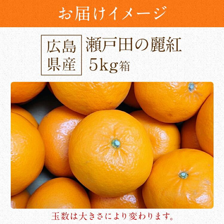 麗紅 れいこう 5kg 広島県産 瀬戸田 みかん 産直 同梱不可 指定日不可
