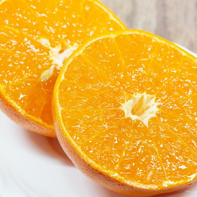 麗紅 れいこう 5kg 広島県産 瀬戸田 みかん 産直 同梱不可 指定日不可