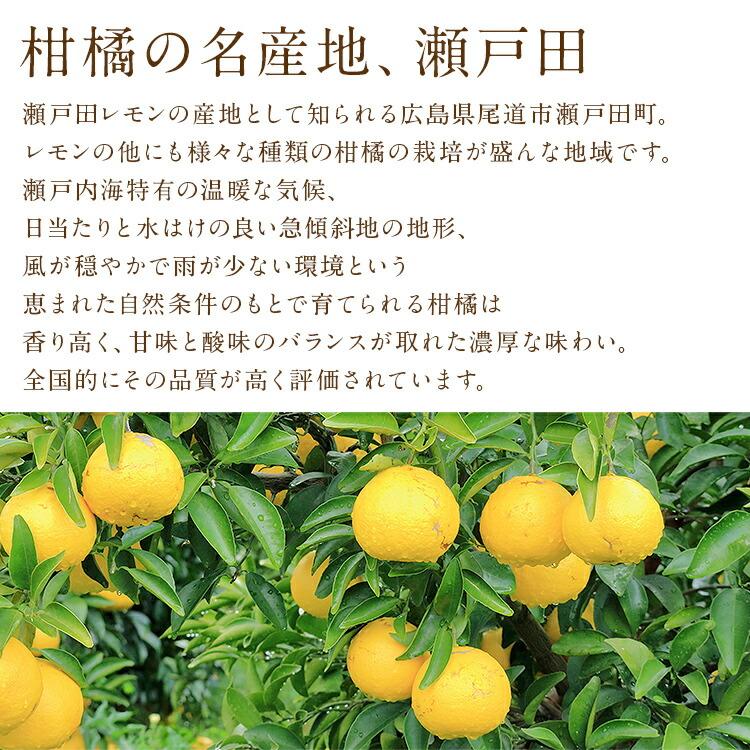 はるか 5kg 広島県産 瀬戸田 みかん 柑橘 産直 同梱不可 指定日不可