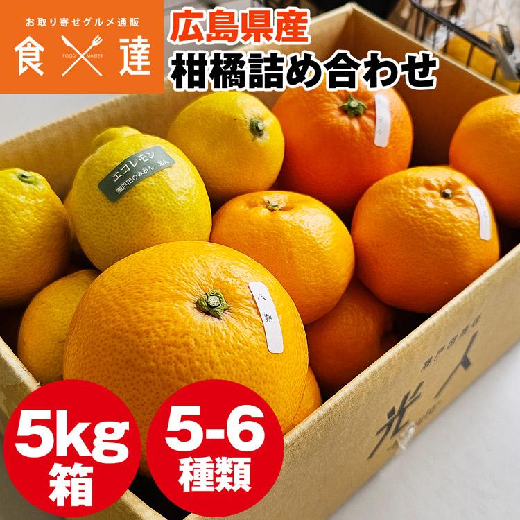 柑橘おまかせセット 5kg 5ー6種入り 広島県産 瀬戸田 みかん 柑橘 産直