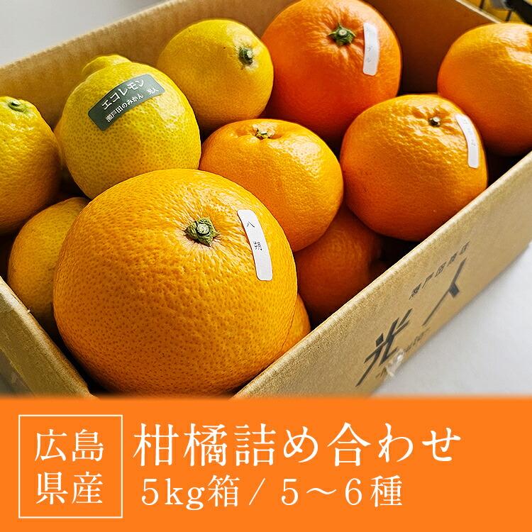 柑橘おまかせセット 5kg 5ー6種入り 広島県産 瀬戸田 みかん 柑橘 産直
