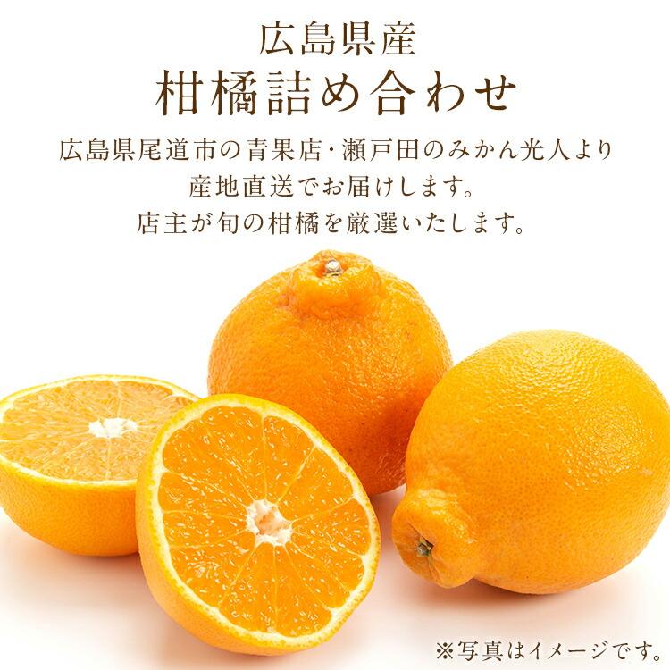 柑橘おまかせセット 5kg 5ー6種入り 広島県産 瀬戸田 みかん 柑橘 産直