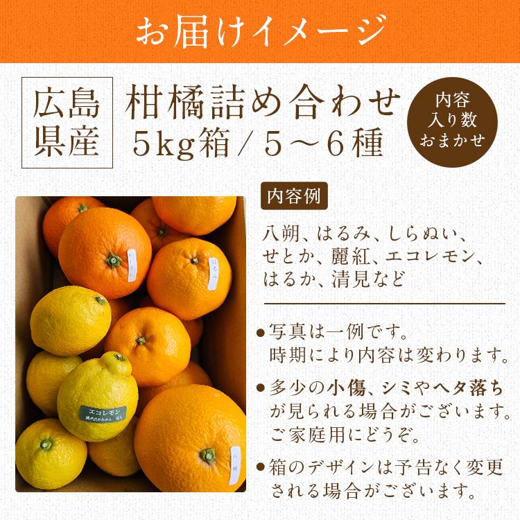 柑橘おまかせセット 5kg 5ー6種入り 広島県産 瀬戸田 みかん 柑橘 産直