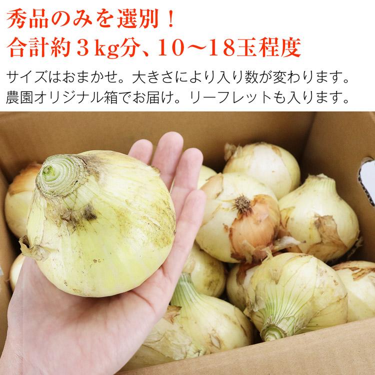 玉ねぎ 塩たまちゃん 秀品 3kg 10〜18玉程度 子出藤農園 鉄腕ダッシュ 青空レストラン タマネギ 熊本県産 産直 常温便 同梱不可 指定日不可｜shokutatsu｜06