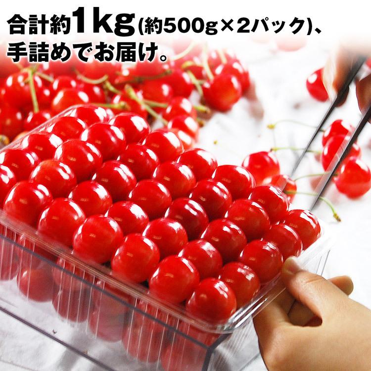 さくらんぼ 佐藤錦 秀 1kg (500g×2) Lサイズ以上 贈答用 高級ギフト