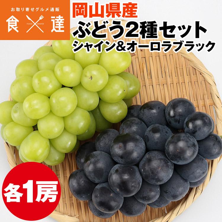 シャインマスカット オーロラブラック 食べ比べ 2種 ぶどう 詰め合わせ