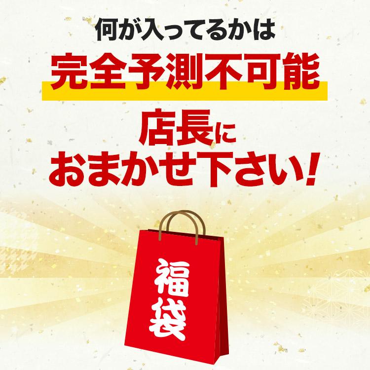 福袋 食品 店長おまかせ福袋 冷凍便 何が入ってるかは届くまでのお楽しみ！ 冷凍便 ギフト｜shokutatsu｜03