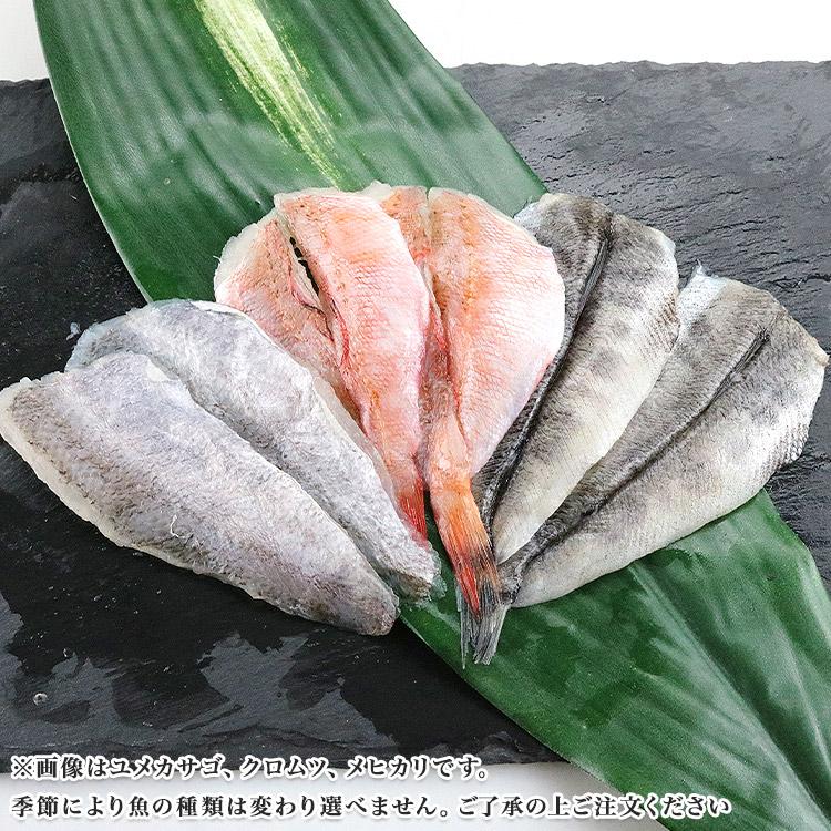 天ぷら用 魚の開き 30枚 愛知県産 3種の旬魚 選択不可 3魚種×各2枚×5P 鮮魚 天麩羅ギフト お取り寄せグルメ 食品｜shokutatsu｜06