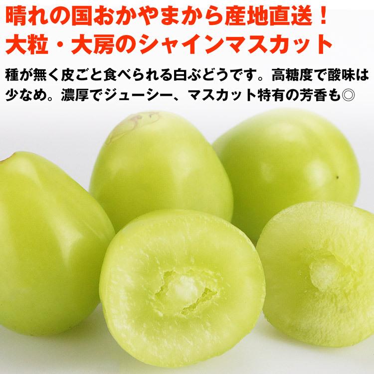 一部予約 種なし 皮ごと シャインマスカット 晴王 1房 700g以上 岡山県 高糖度 ブドウ ぶどう フルーツ 葡萄 特選 高級 果物 大人気 ギフト プレゼント 内祝い お中元 敬老の日 フルーツギフト 贈答用 御礼 家庭用 お取り寄せグルメ おうち時間 fucoa.cl 一部予約 種なし 皮ごと シャインマスカット 晴王 1房 700g以上 岡山県 高糖度 ブドウ ぶどう フルーツ 葡萄 特選 高級 果物 大人気 ギフト プレゼント 内祝い お中元 敬老の日 フルーツギフト 贈答用 御礼 家庭用 お取り寄せグルメ おうち時間 fucoa.cl