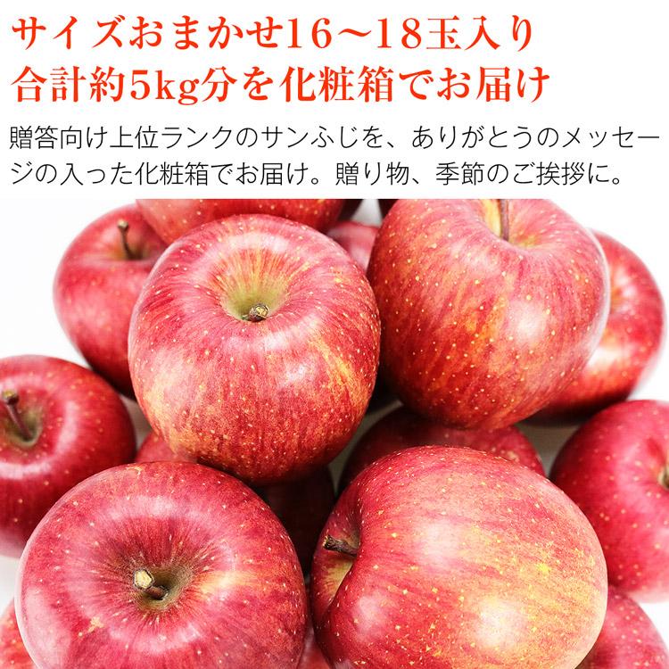 サンふじ 5kg 青森県産 贈答用 りんご 16〜18玉 林檎 リンゴ サンふじ 5kg 青森県産 贈答用 りんご 16〜18玉 林檎 リンゴ